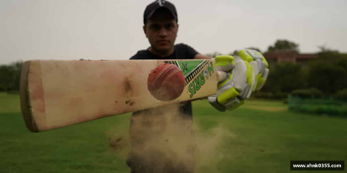 关于完美体育官方网站